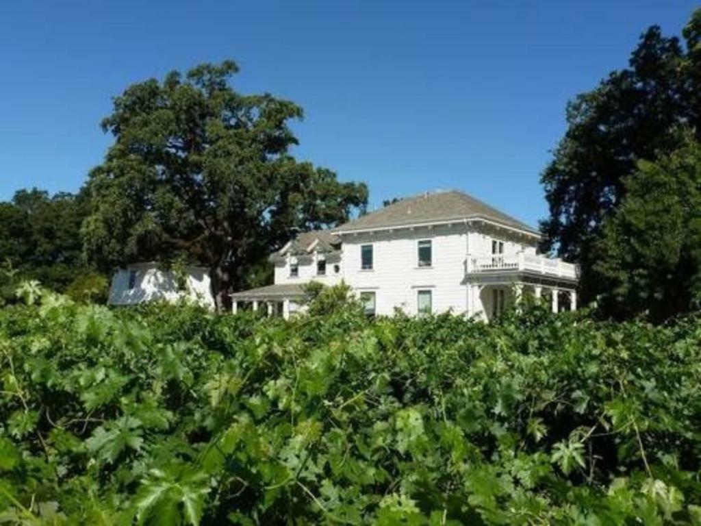 Inn At Salvestrin St. Helena Esterno foto